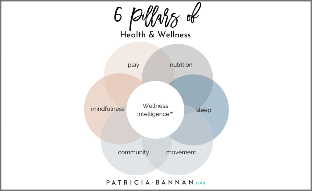 6 Key Pillars of Health and Wellness - Patricia Bannan, MS, RDN